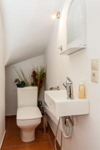 ÉlosArhontika Villas的一间带卫生间和水槽的浴室