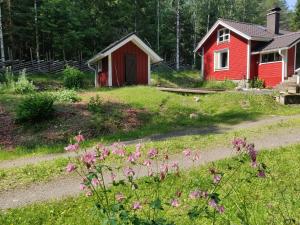 科林基拉Metsäpirtti的红色的房子和田野,花粉红色