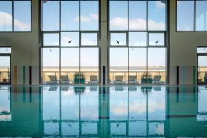 兰图姆TUI BLUE Sylt的一座游泳池,有窗户,鸟儿飞翔