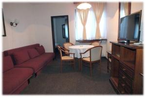 布尔泽策ApartHotel Kopaonik的带沙发、桌子和电视的客厅