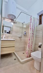 培拉特Downtown Apartment的带淋浴、卫生间和盥洗盆的浴室