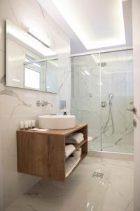 约阿尼纳CityScape Luxury Apartments的一间带水槽和淋浴的浴室