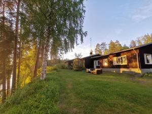 VuoriniemiVuori Camp by Saimaa的树林中的房屋,有院子