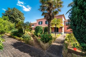 桑塔纳Casa da Tia Clementina的享有棕榈树粉红色房子的外部景色