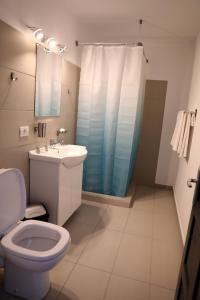 奥尔绍瓦Hotel Dunavis的浴室配有卫生间、盥洗盆和淋浴。