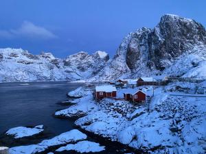 雷讷Olenilsøya Mini Villa的相册照片