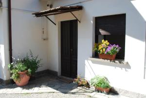 塞斯托卡伦德La casetta del nonno Giampi的盆栽植物屋的前门