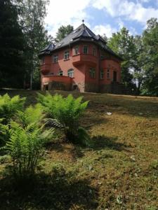波兰尼卡-兹德鲁伊Baltic Home的一座树木茂密的山丘上的大型红砖房子