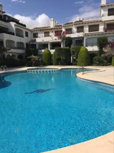 奥里韦拉海滩Cabo Roig Bellavista 26的在大型蓝色游泳池游泳的海豚