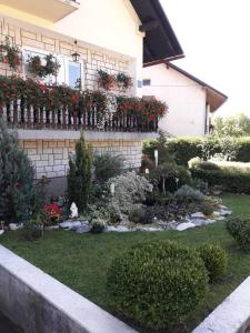 马考巴尔贾Apartment Petra的鲜花屋前的花园