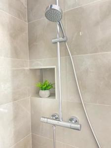 特罗吉尔Villa Moon Trogir的带淋浴的浴室,里面装有植物
