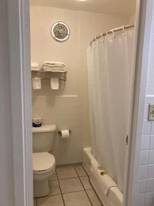温泉城希尔斯旅馆的一间带卫生间和淋浴的浴室