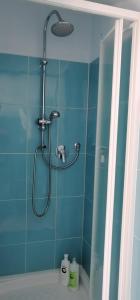 SeùloFERULA romantica mansarda tra fiumi e montagne Sardegna的浴室设有蓝色瓷砖墙和淋浴。