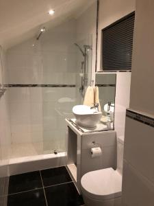 蒙塔古La Chapelle - The Apartment的一间带水槽、卫生间和淋浴的浴室