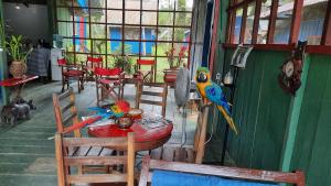 Puerto NariñoCabañas alto del aguila的两个五彩缤纷的鹦鹉坐在一个房间里桌子上