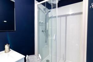 索米尔DUPLEX LE SAINT JEAN的带淋浴的浴室和玻璃门