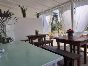 托里德欧索Casa Vacanza Fiorella的植物丛中的桌子和长椅