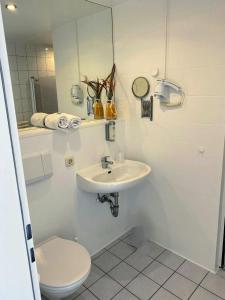 维利希Hotel am Park的一间带卫生间、水槽和镜子的浴室