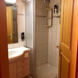 洛伊克巴德阿尔皮纳酒店的带淋浴、盥洗盆和镜子的浴室
