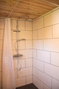 瓦格纳Apfelhaus的浴室内配有淋浴帘。