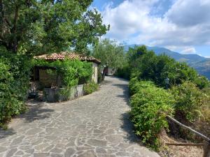 圣毛罗奇伦托Dormire al Casale的一条通往山间房屋的鹅卵石路径