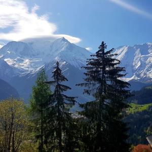圣热尔韦莱班Appartement Saint Gervais les Bains vue imprenable Mont Blanc的山前两棵高大的松树