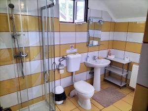 阿尔杰什河畔库尔泰亚Pensiunea Eden的浴室配有卫生间、盥洗盆和淋浴。