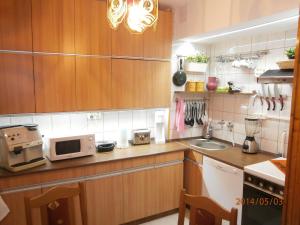 布达佩斯高地公寓的厨房配有木制橱柜、水槽和微波炉