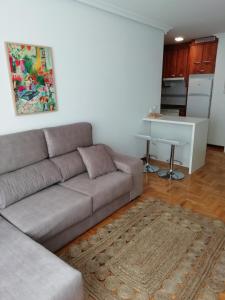 比利亚维西奥萨Apartamento Conlledo的客厅配有沙发和桌子