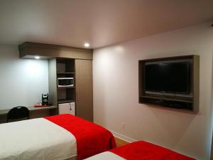 拉瓦尔Motel Chez Nous的配有一张床和一台平面电视的酒店客房