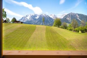 拉姆绍达赫斯坦Appartement Sonnenheim的一片绿草丛,山地背景