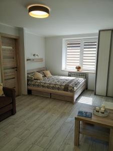 奈达Miško studija的卧室配有床、桌子和窗户。