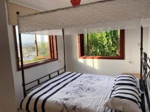 Amargeti永葆生命之春住宿加早餐旅馆的一间卧室设有一张天蓬床和两个窗户
