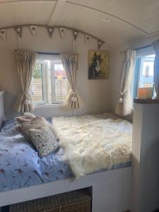 汤顿Willowbank shepherds hut的小型客房的一张床位,设有两个窗户