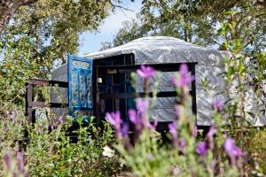 圣路易斯Eco Glamping Portugal Nature Lodge的花田里的圆顶帐篷