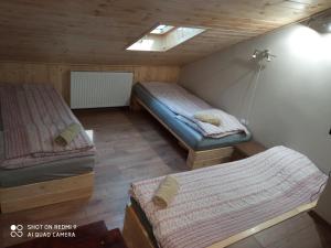瑙吉考尼饶Nyírfás Camping的阁楼间 - 带两张床和窗户
