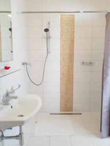 加尔多尼Villa Heuréka的带淋浴和盥洗盆的浴室