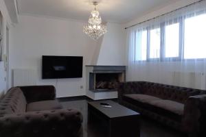 阿哈奈Filippos Acharnes Elegance的客厅设有两张沙发和一个壁炉