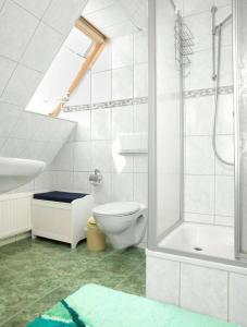因塞尔波埃尔Wolkenlos的浴室配有卫生间、盥洗盆和淋浴。