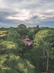 TambopataWasai Tambopata Lodge的树木林的空中景观