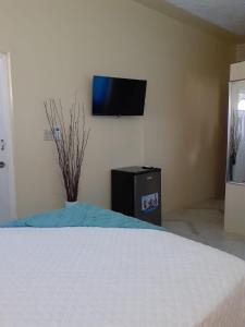 Spanish TownClarke's Luxurious Private Suite的卧室配有一张床,墙上配有电视。