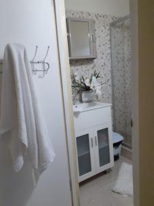 Spanish TownClarke's Luxurious Private Suite的一间带水槽、卫生间和镜子的浴室