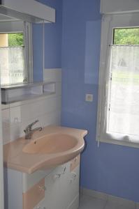 凯恩Studio meublé dans parc paysagé的一间带水槽和蓝色墙壁的浴室
