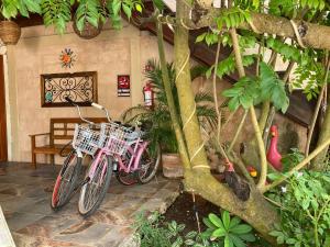 巴利亚多利德Casa San Juan的两辆自行车停在树旁