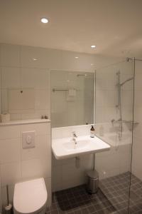 桑内舍恩Sandnessjøen Overnatting的浴室配有卫生间、盥洗盆和淋浴。