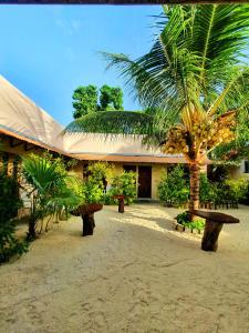 图杜Thoddoo Retreat Grand的一座带长凳的建筑前的棕榈树