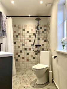 FjællebroenAskes Oase Guest Apartment的一间带卫生间和淋浴的浴室