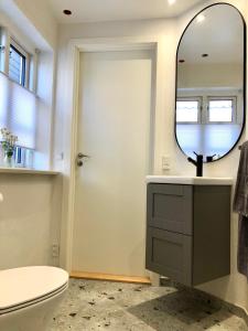 FjællebroenAskes Oase Guest Apartment的一间带卫生间和镜子的浴室