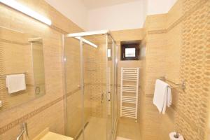布加勒斯特AMADEUS RESIDENCE的带淋浴和玻璃淋浴间的浴室