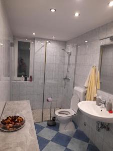 阿伊多夫什契纳Hiša Pepi的浴室配有卫生间、盥洗盆和淋浴。